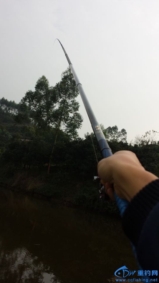 QQͼƬ20151211225340.jpg