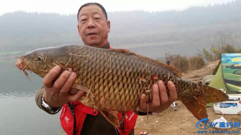 1603522gngko1g3d1ddjgy_jpg_thumb.jpg