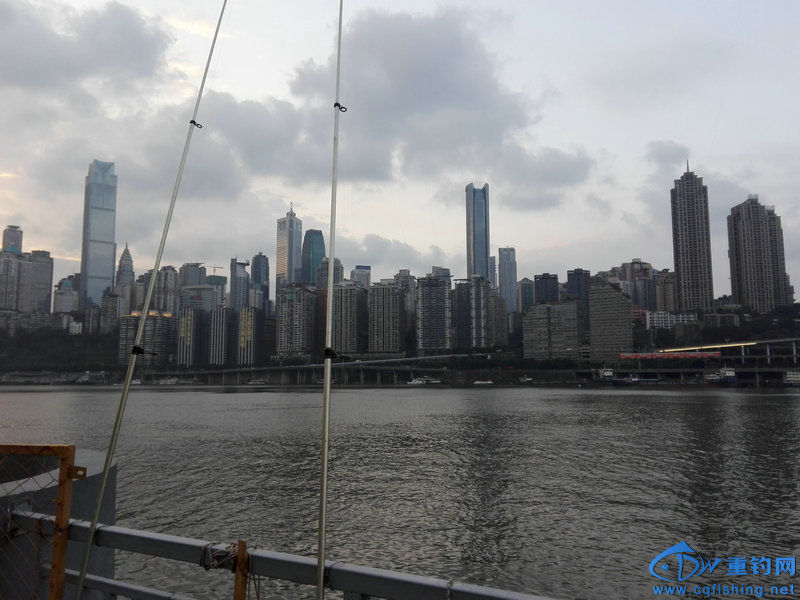 IMG_20151027_072412.jpg