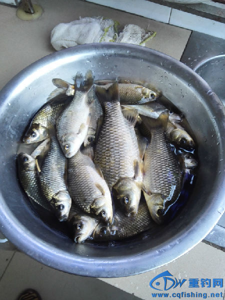 IMG_20151005_171816.jpg