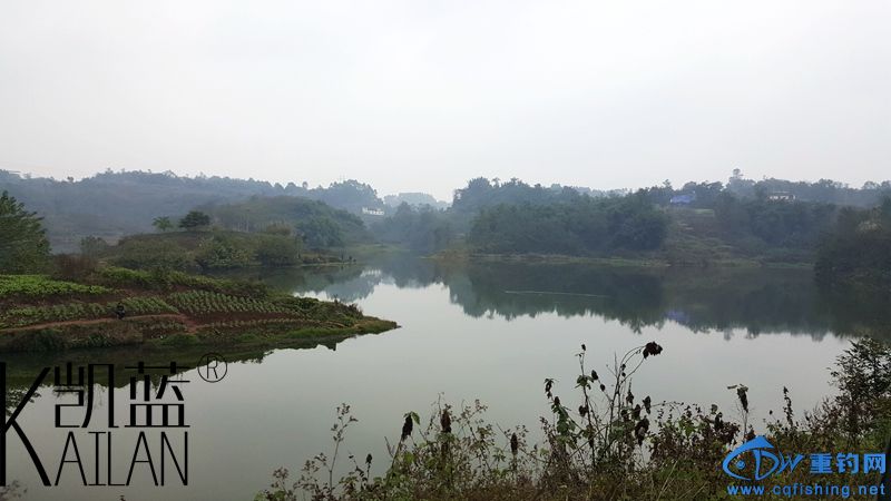 20151221_153716.jpg