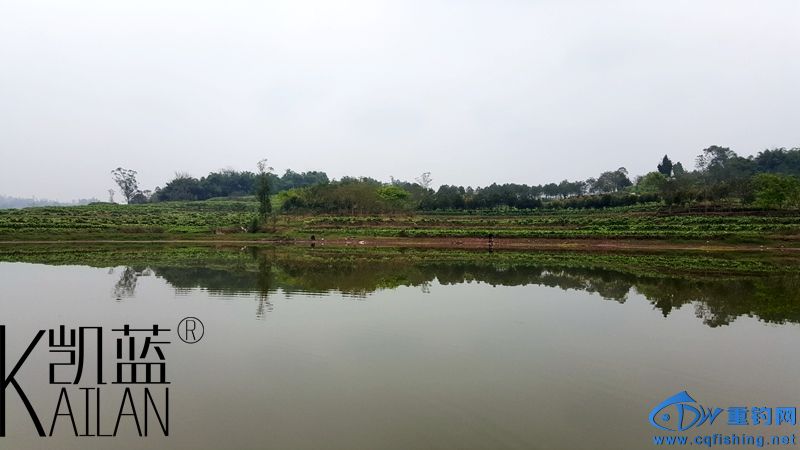 20151221_160418.jpg