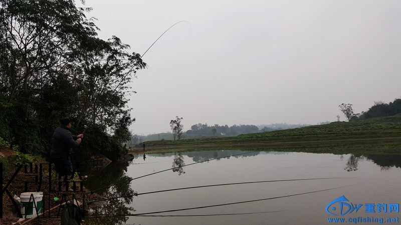 20151221_164907.jpg