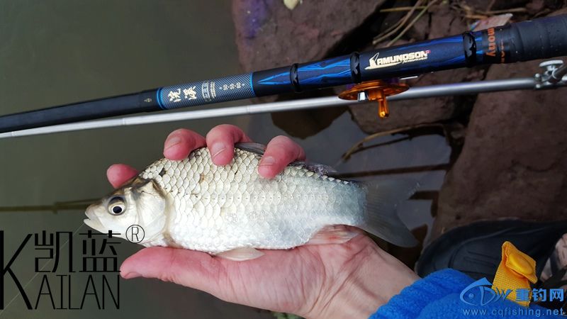 20151221_174404.jpg