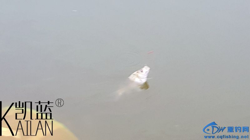 20151221_175034.jpg