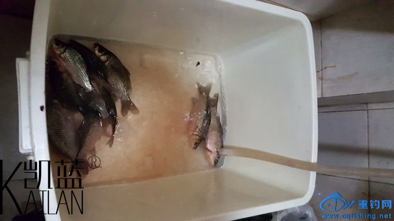 20151222_005203.jpg