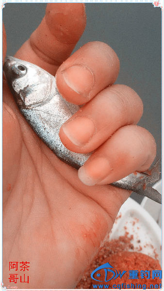 8_副本.jpg
