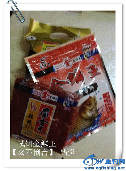 照片 056.jpg