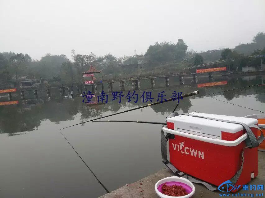 01.jpg