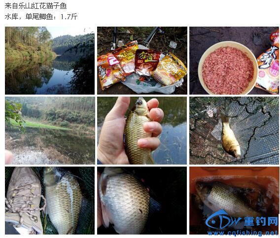 QQͼƬ20151211112406.jpg
