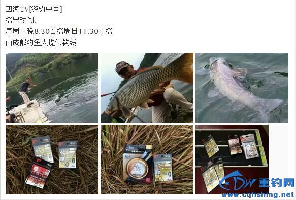 QQͼƬ20160106072337.jpg
