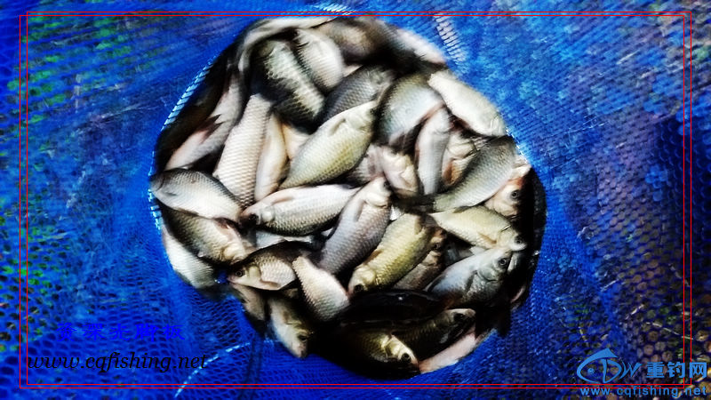 20160102_181142.jpg