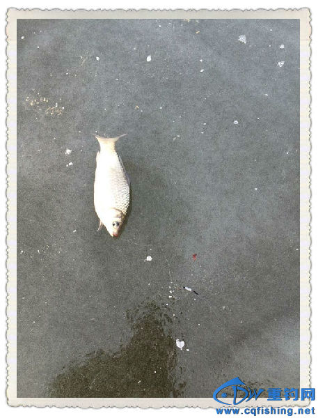 4_副本.jpg