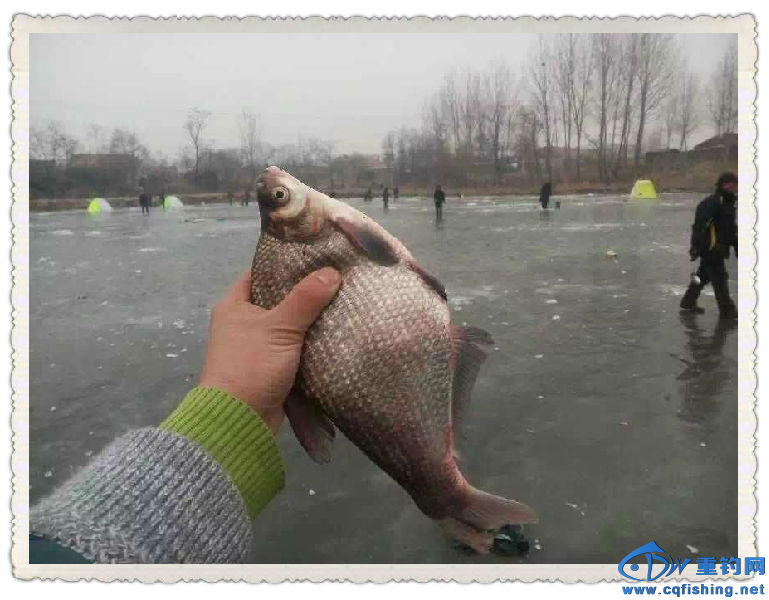 5_副本.jpg