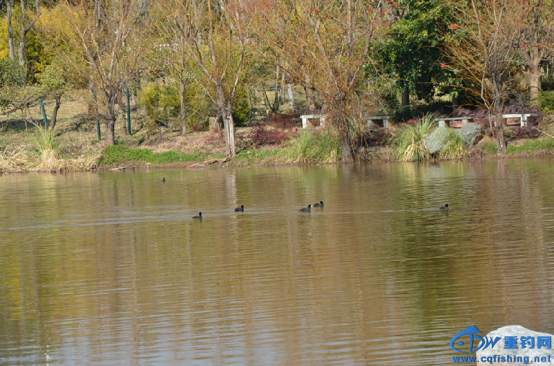 DSC_2056.JPG