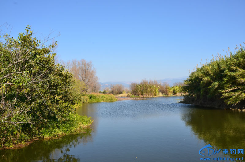 DSC_2124.JPG