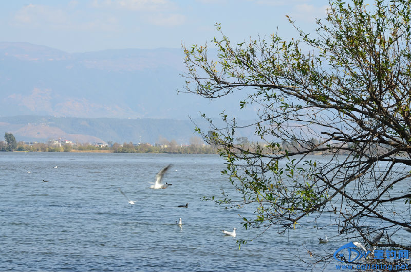 DSC_2132.JPG