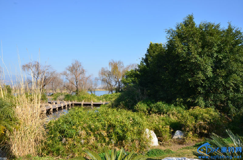 DSC_2137.JPG