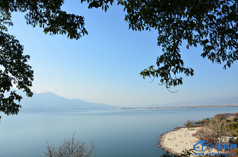 DSC_2218.JPG