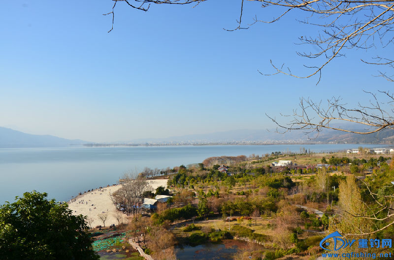 DSC_2222.JPG