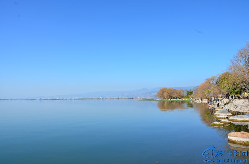 DSC_2146.JPG