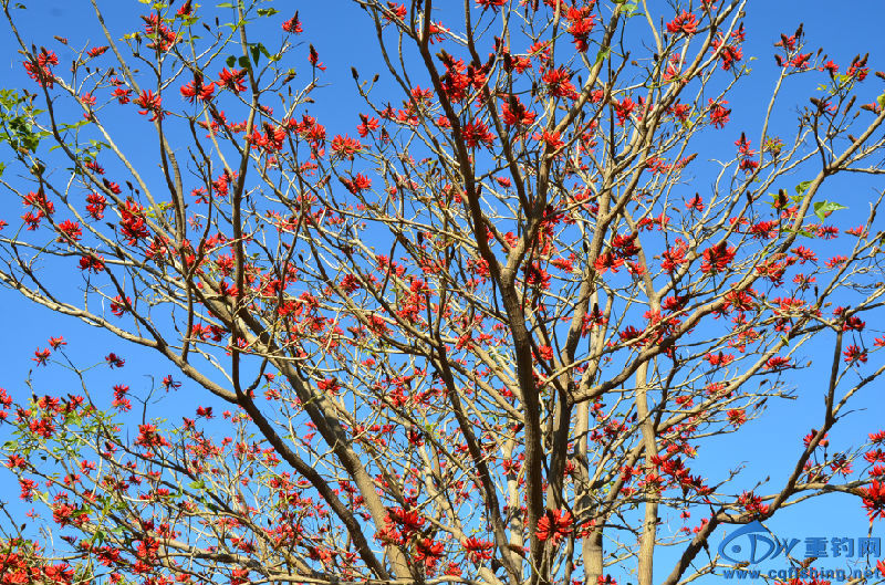 DSC_2150.JPG