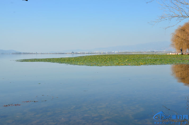 DSC_2155.JPG