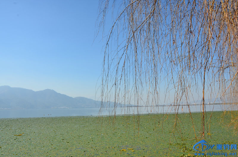 DSC_2165.JPG