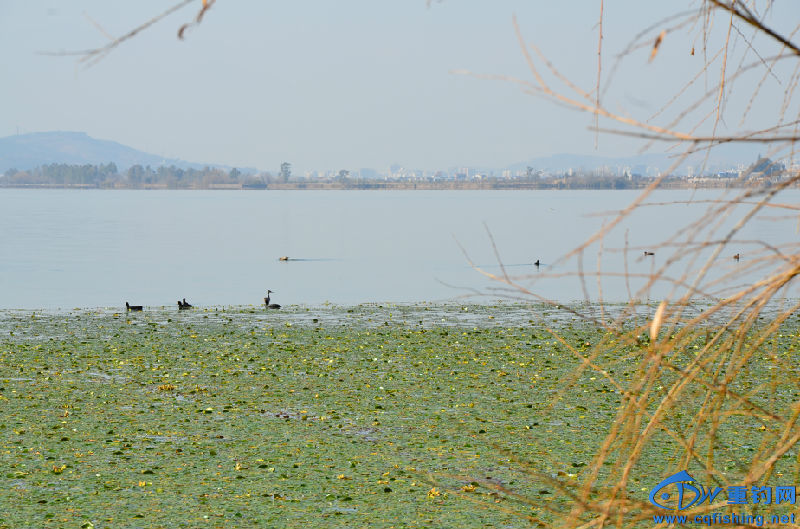 DSC_2167.JPG