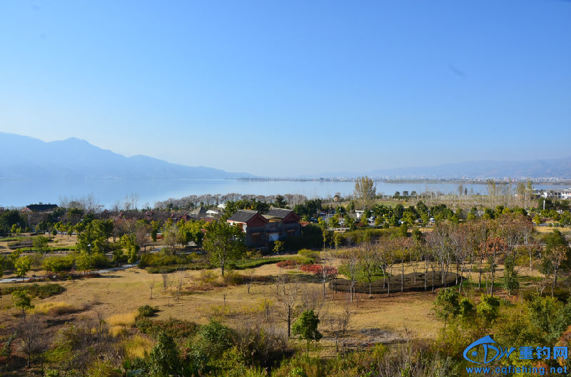 DSC_2198.JPG