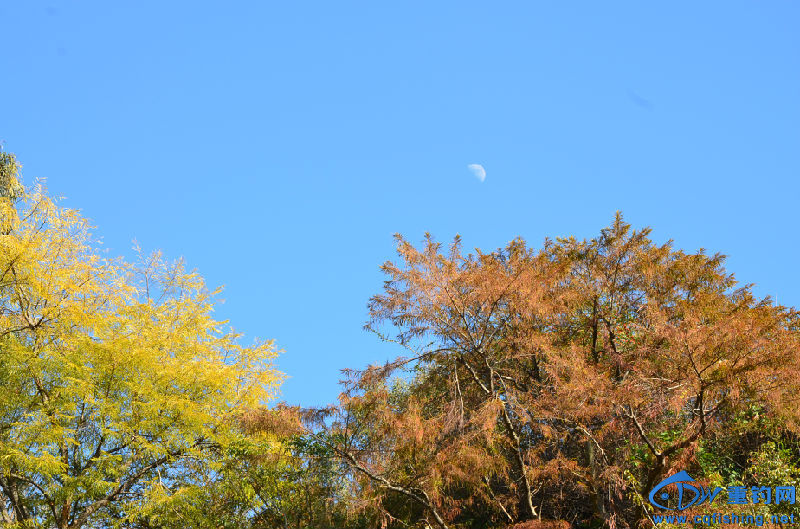 DSC_2197.JPG