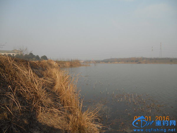 DSCN7776.jpg