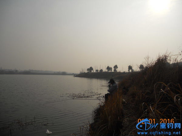 DSCN7777.jpg