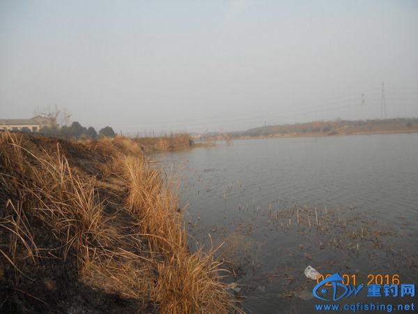 DSCN7779.jpg
