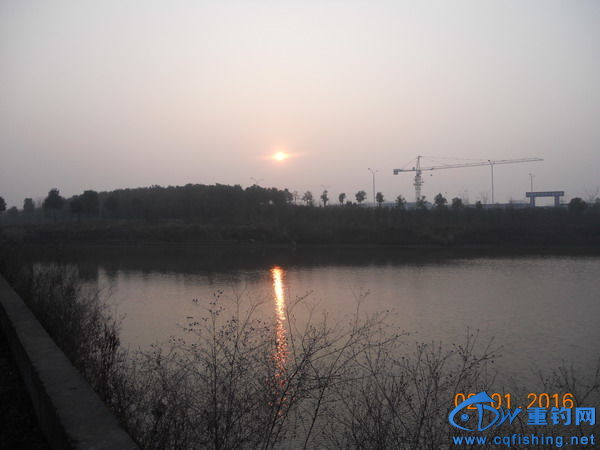 DSCN7781.jpg