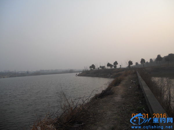 DSCN7782.jpg