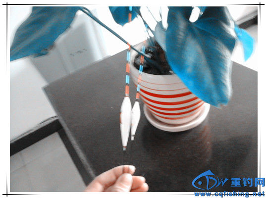 20160126_153411_.jpg