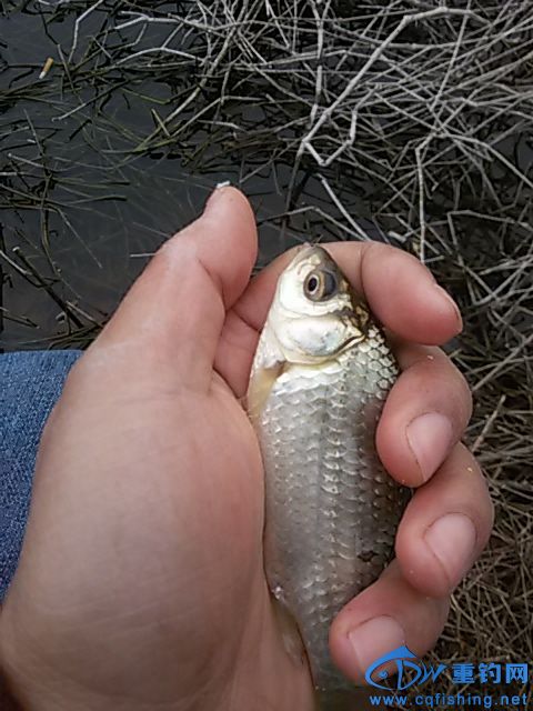 20160130_143252.jpg