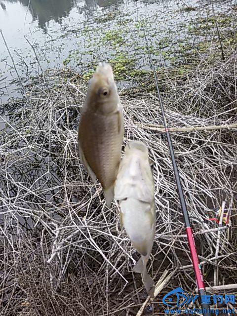20160130_143900.jpg