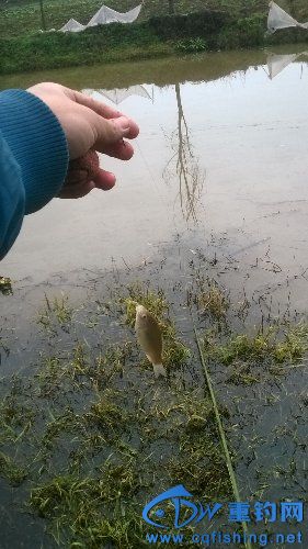 WP_20160125_13_27_27_Pro.jpg