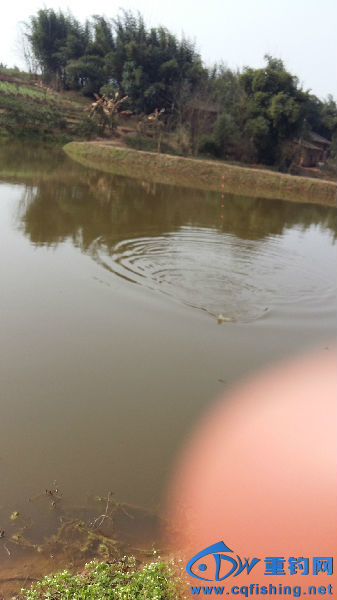 20160211_141347.jpg