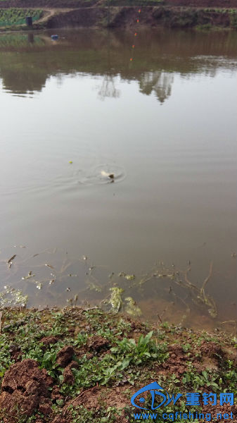 20160211_141714.jpg