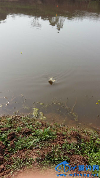 20160211_141718.jpg