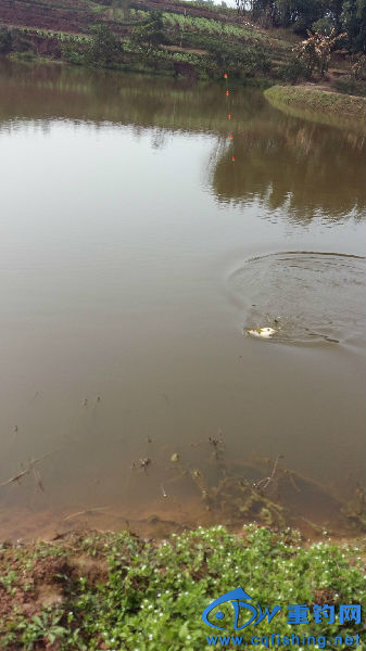 20160211_142905.jpg