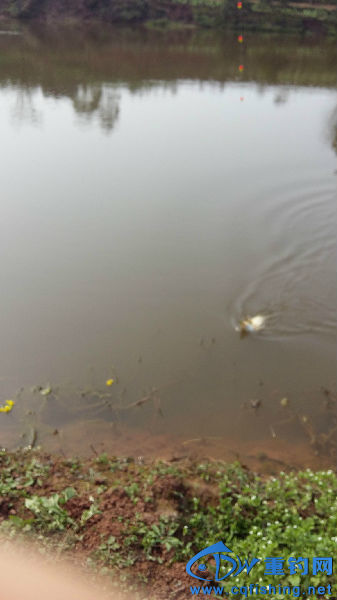 20160211_142906.jpg