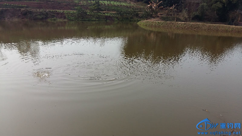 20160211_143407.jpg