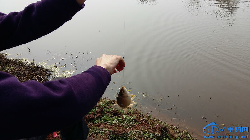 20160211_143858.jpg