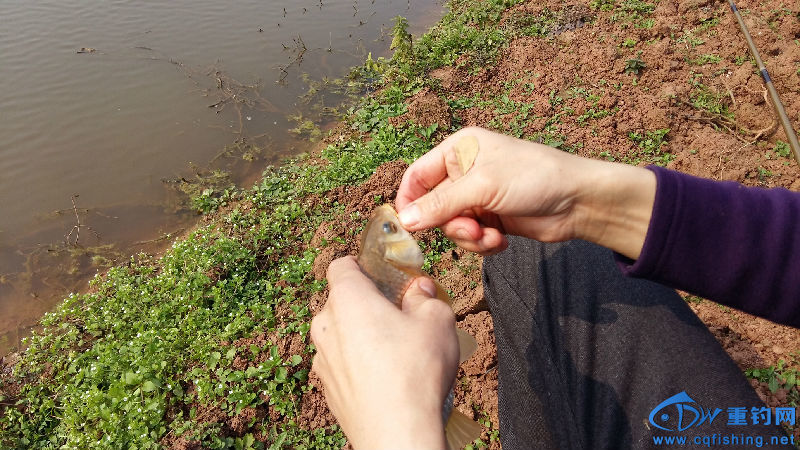 20160211_145033.jpg
