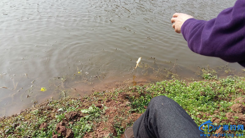 20160211_145759.jpg