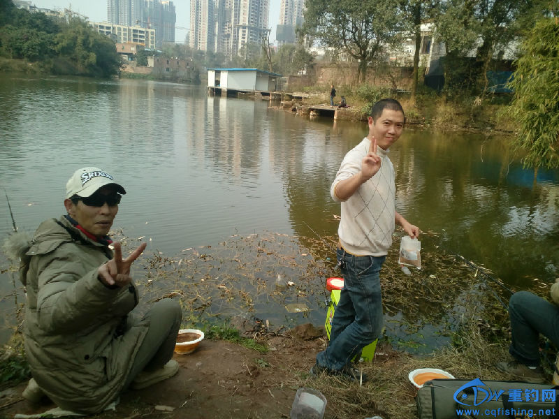 IMG_20160209_150319.jpg